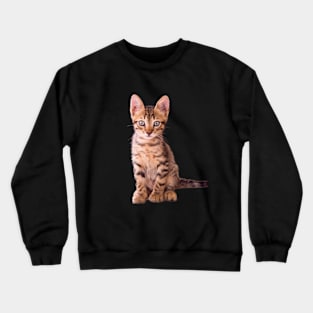 Cute Cat Crewneck Sweatshirt